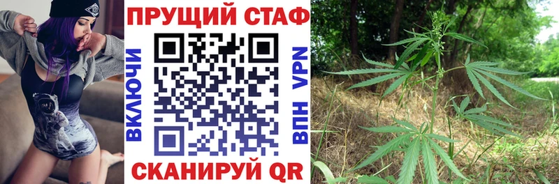 Alpha PVP Новая Усмань