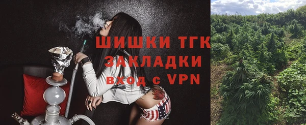 дмт Абинск