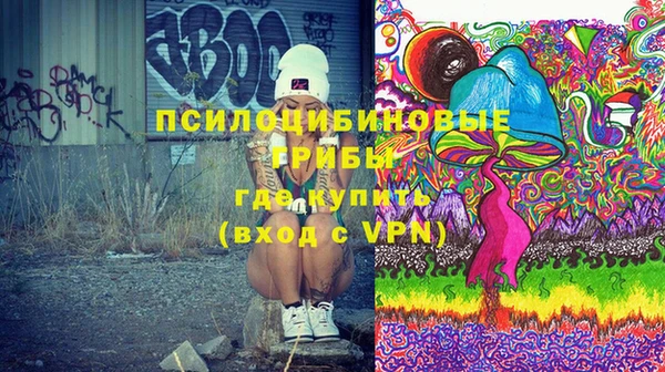 эйфоретик Алзамай