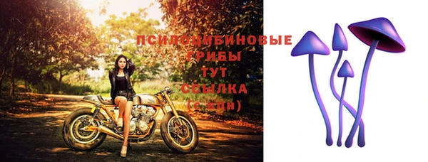 прущие грибы Алексеевка