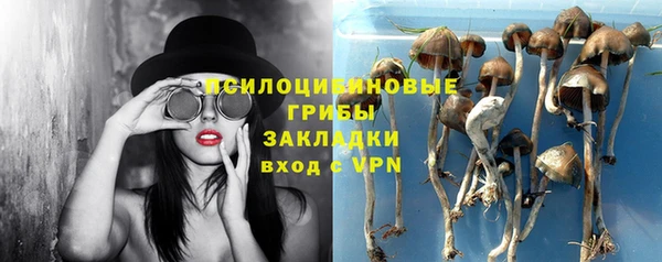 прущие грибы Алексеевка