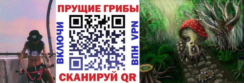 где можно купить   Новая Усмань  Псилоцибиновые грибы MAGIC MUSHROOMS 